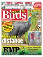Cage & Aviary Birds